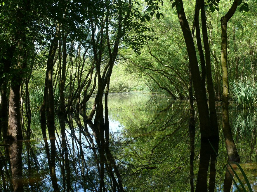 Natura incontaminata