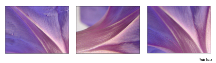 Le curve della memoria