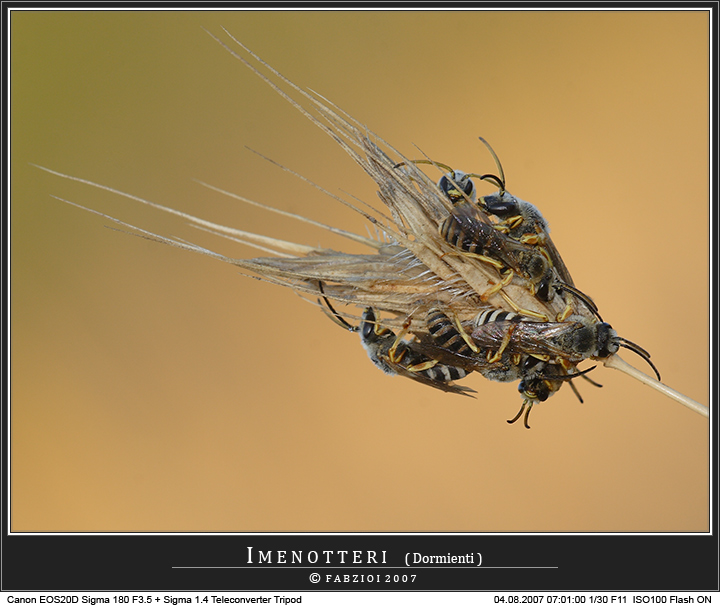 Shh... Silenzio... guai a svegliarli!