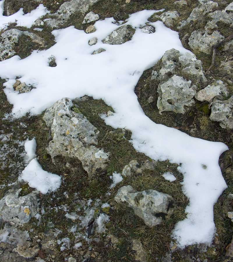 quando la natura ama...disegnare!