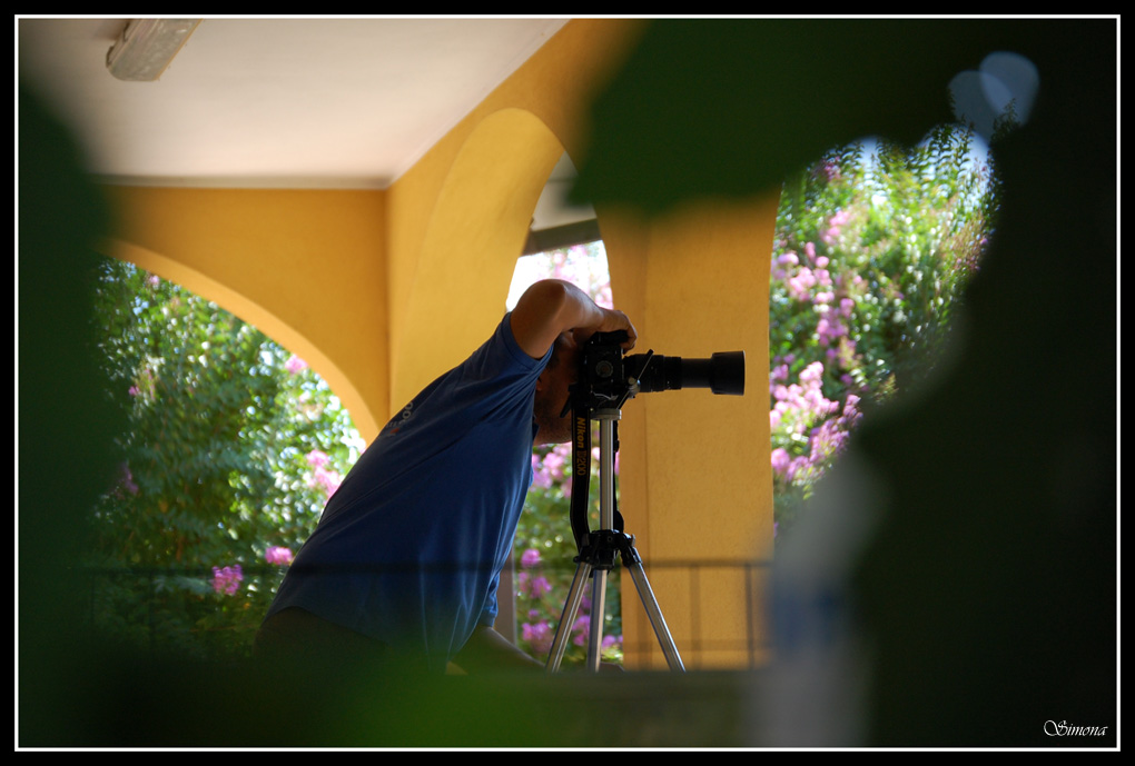 Da cacciatore a preda...