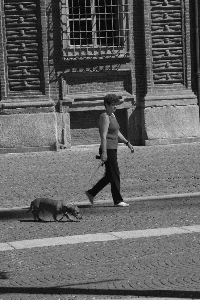 Luglio 2007 - canicola