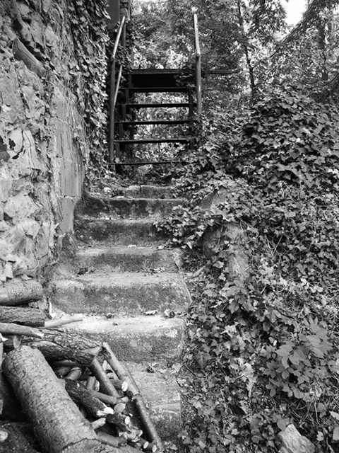 Destinazione Paradiso?!