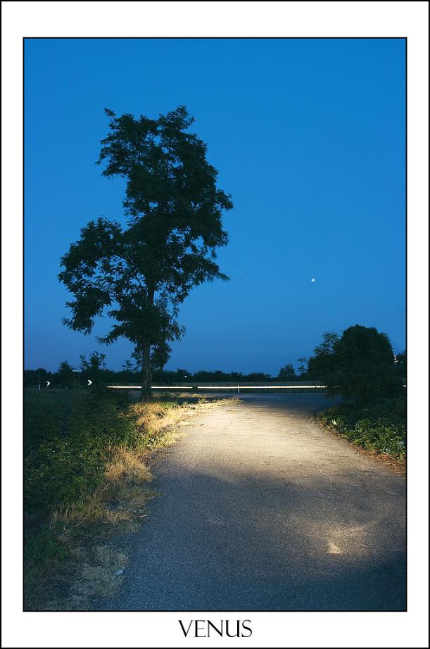 Venus in the Blue Hour