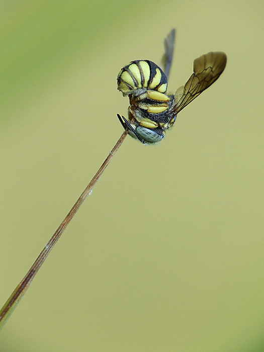 Mi piace dormire cos�