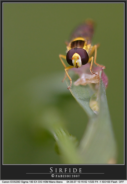 Sfocato intenzionale!