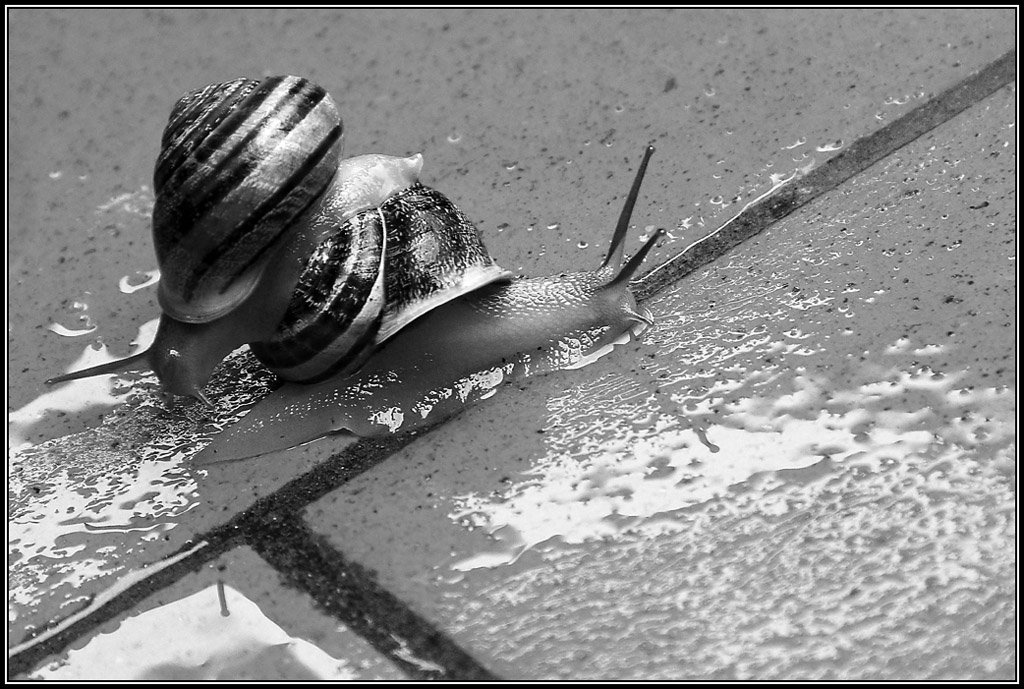 e ci lasciamo qui ...