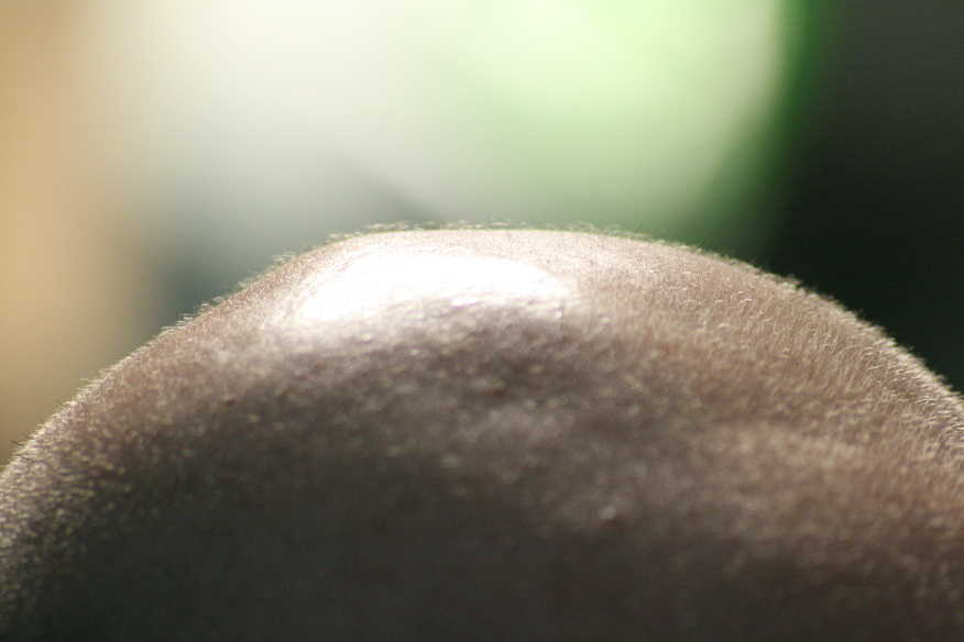 L'isola.... che non c'�!