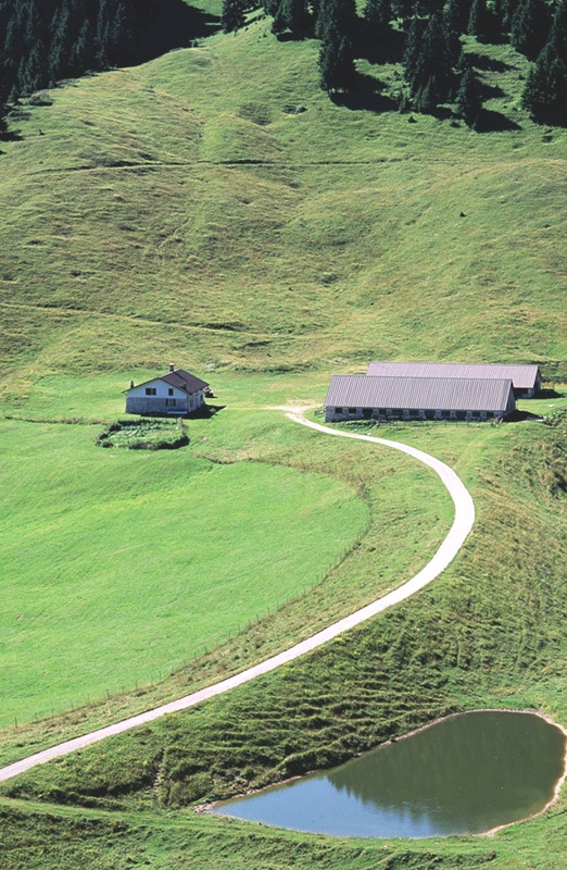 malga delle "bocchette"