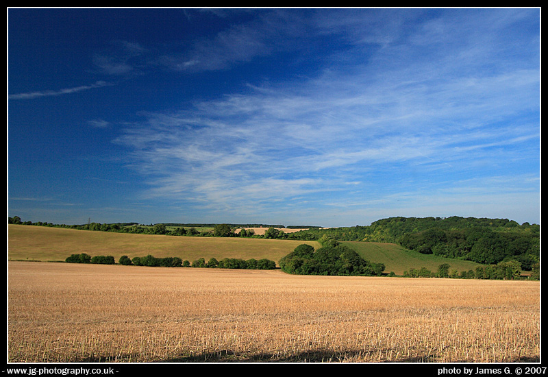Blue Sky...Yellow Fields