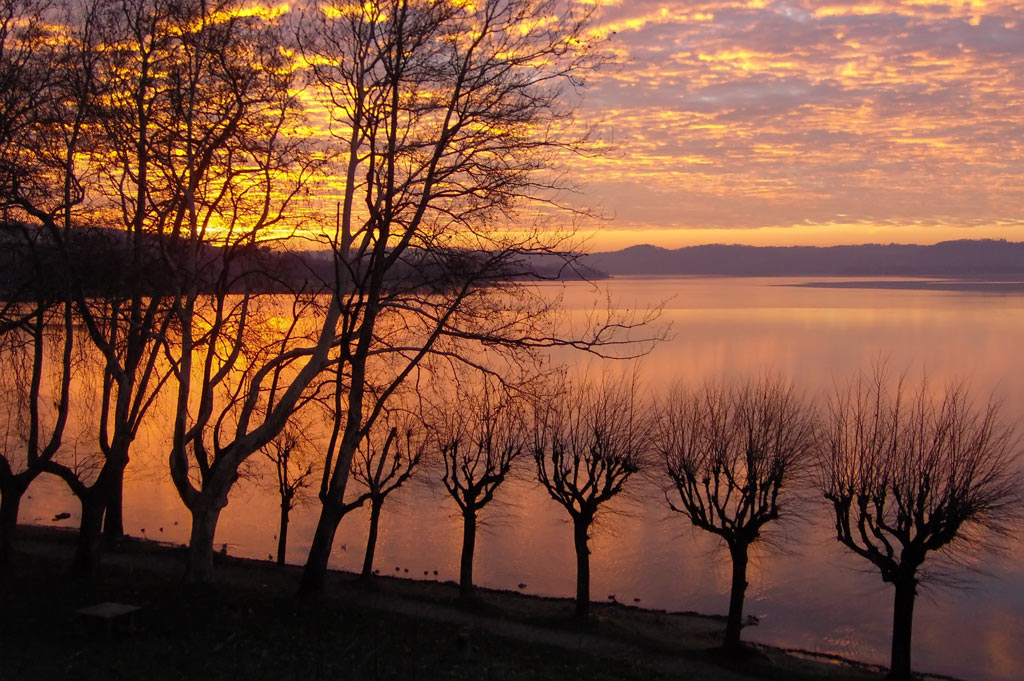 La primavera alle porte II