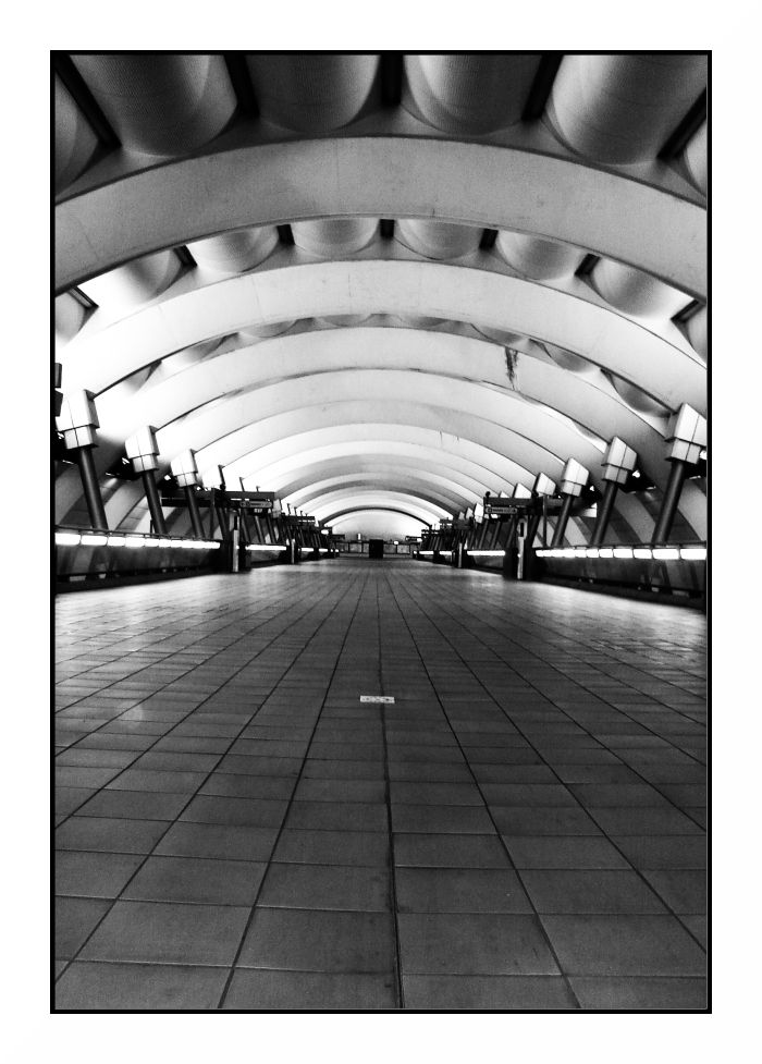 Nel ventre della citt�