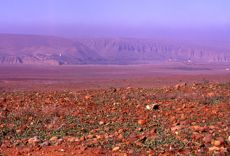 Marocco2003 - deserto dell' Atlante