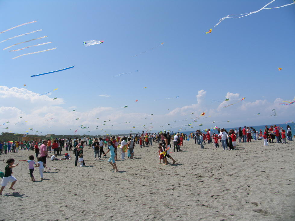 Festa degli aquiloni