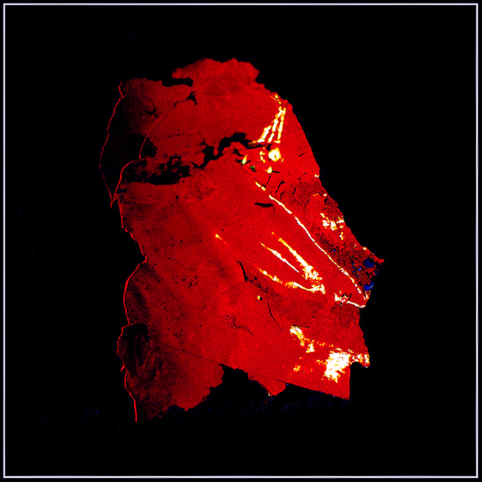 foglia v e r n i c e  rossa