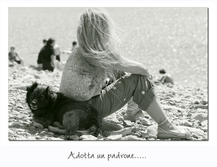 Adotta un padrone....