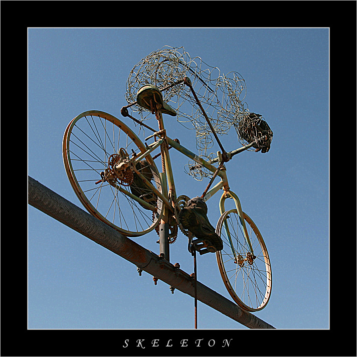 Skeleton
