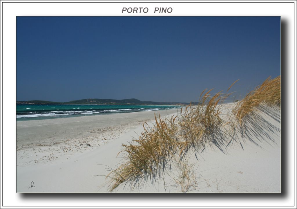porto pino