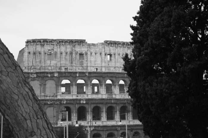 Colosseo grigio