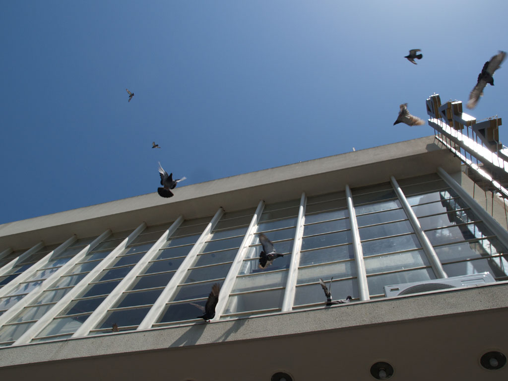 prospettiva a volo d'uccello