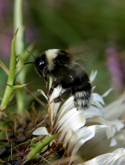 Ops..atterraggio mancato