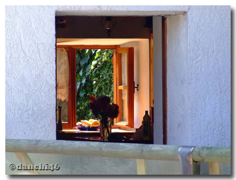 Fiori di un casolare visti dalla finestra