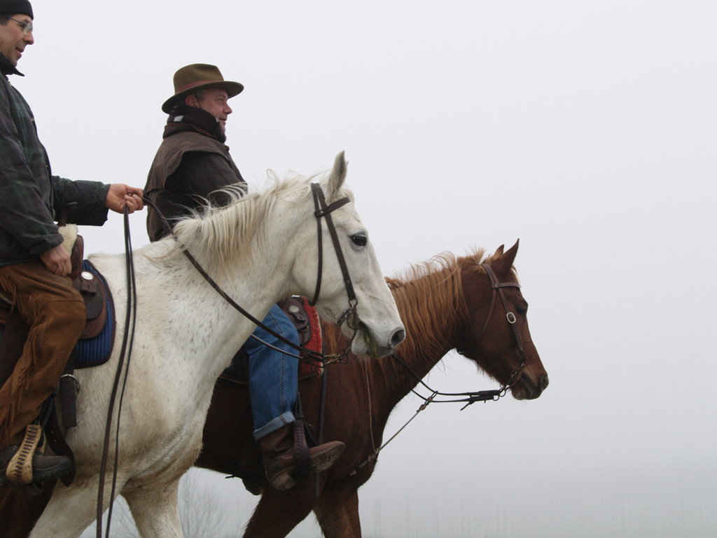 passeggiata autunnale