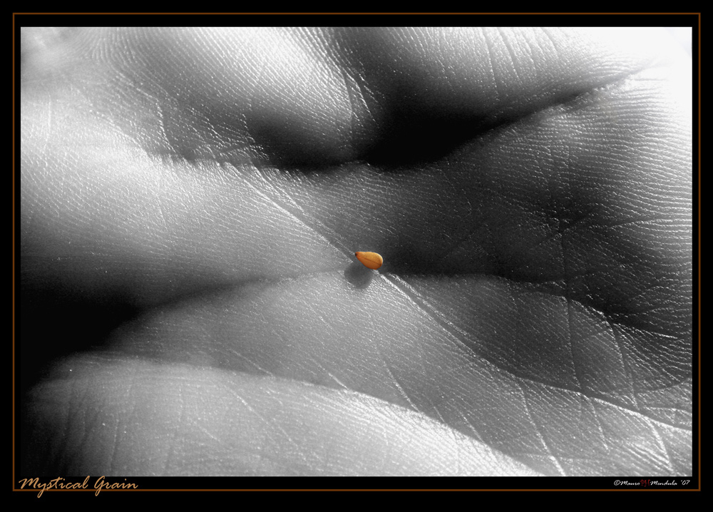 *Mystical Grain*