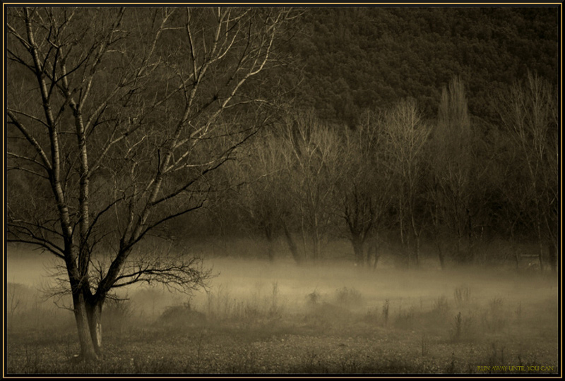 Return of the werewolf