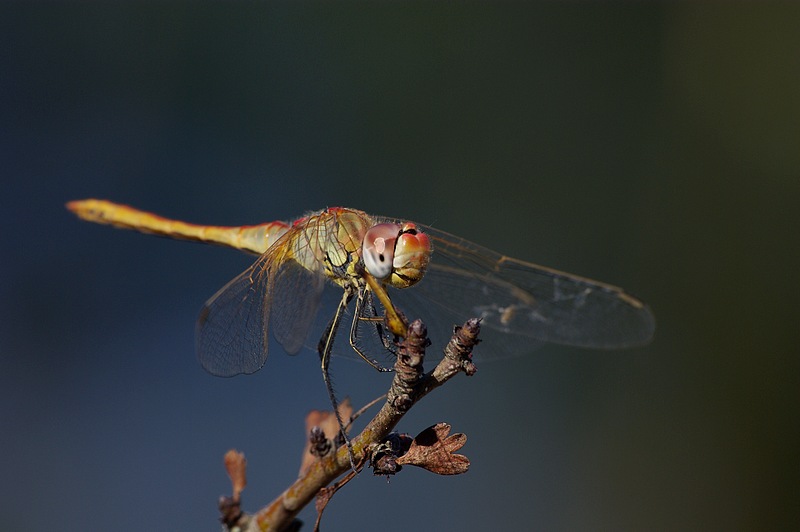 Si siiiiiiiiii siiiiiiiiiiiiiiiiiiiiiiiiiiiiiiiiii