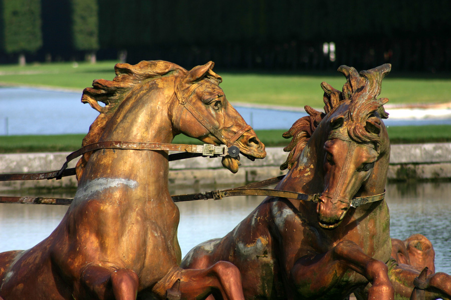 ...i cavalli di Apollo...