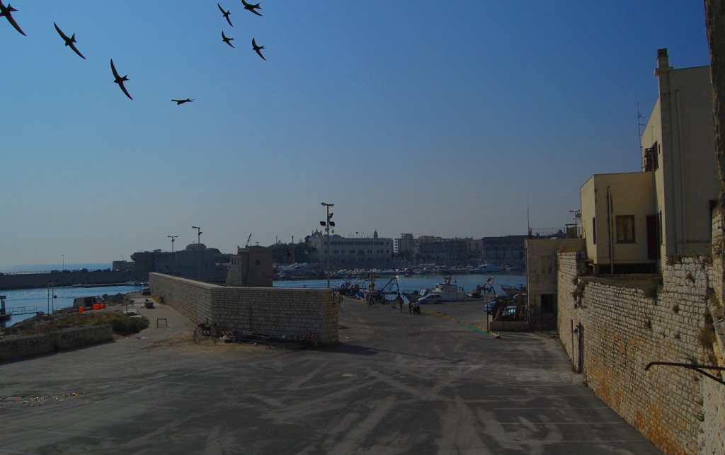 vista sul molo  (Trani)