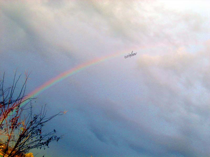 RAINBOW
