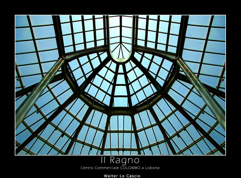 Il ragno