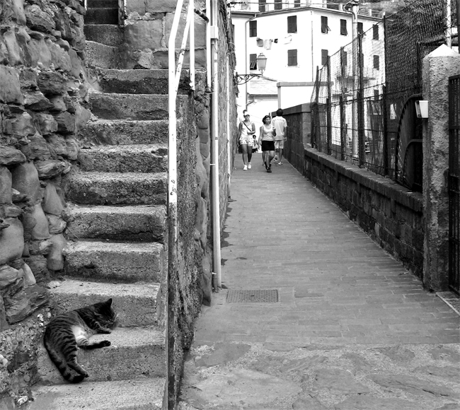 ...siesta pomediana...