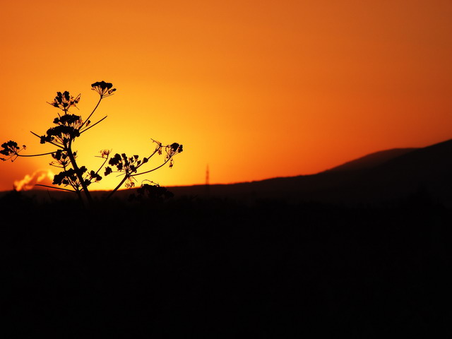 tramonto sul gargano