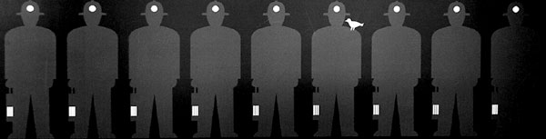 Speriamo non la faccia...