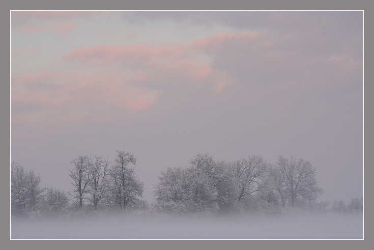 Nebbia e neve 2