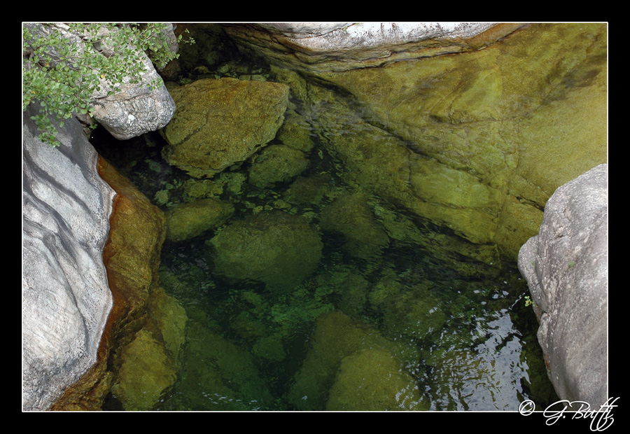 Nelle Profondit� Ti Trover�