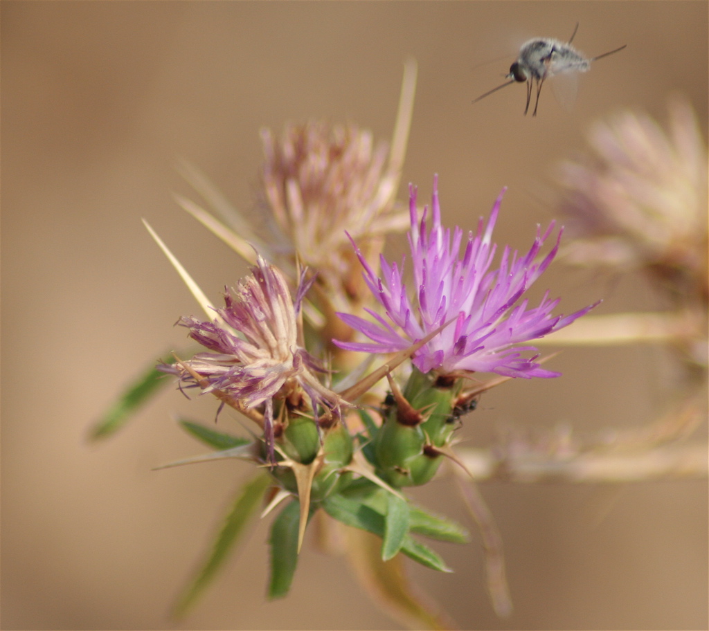 io mi poserei anche qui