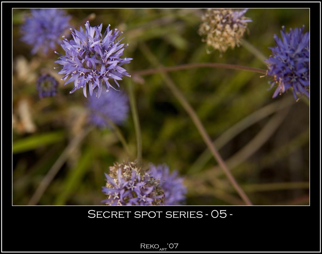 SECRET SPOT 05