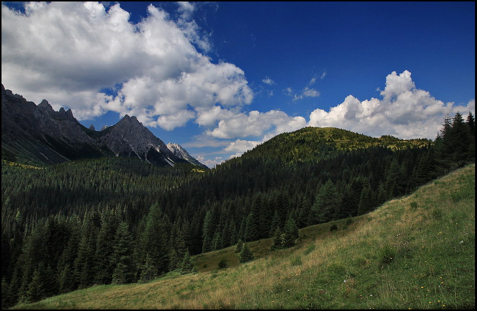 Nostalgia dei boschi...