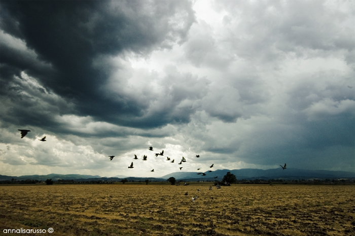 Volo sulla campagna Umbra