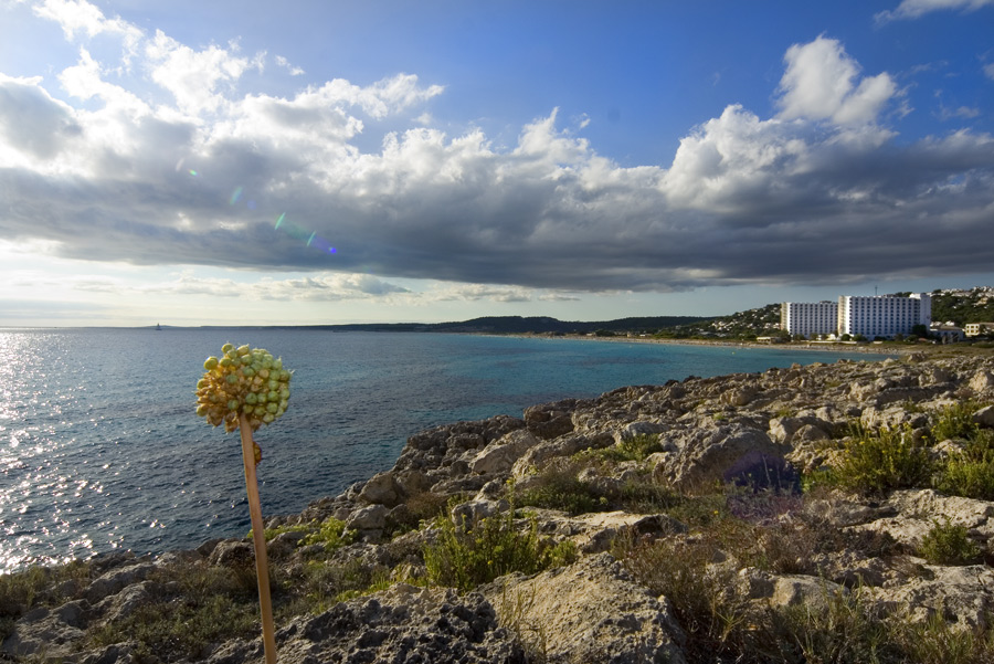 prospettiva sinistra