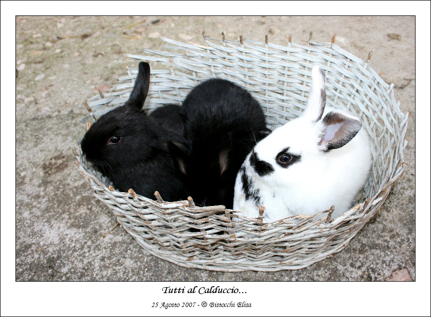 Tutti al calduccio...