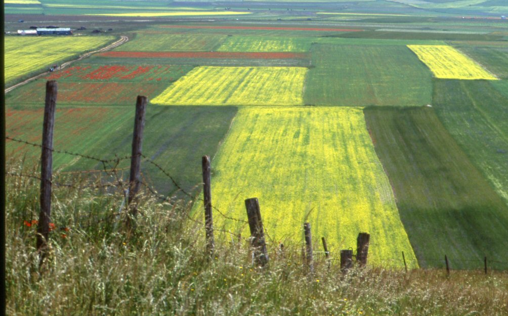 castelluccio