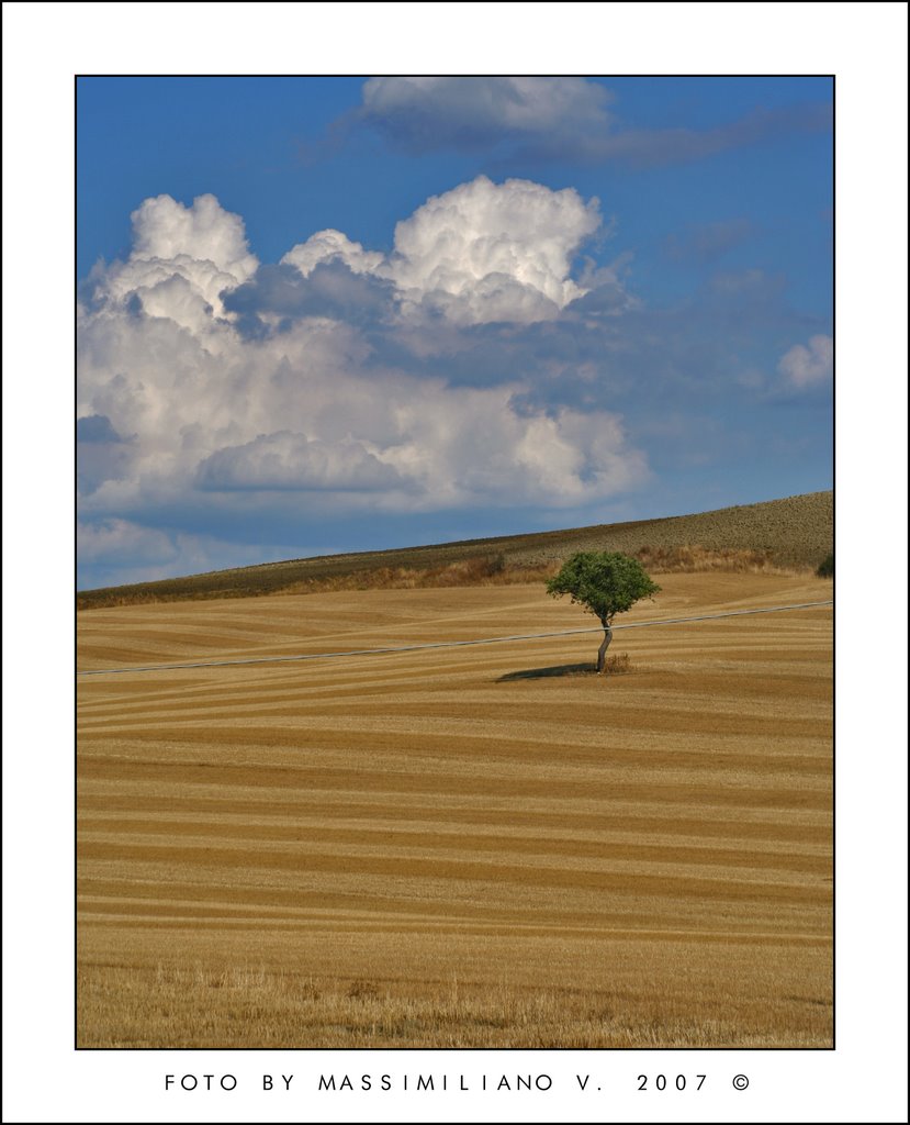 Val d'orcia d'estate