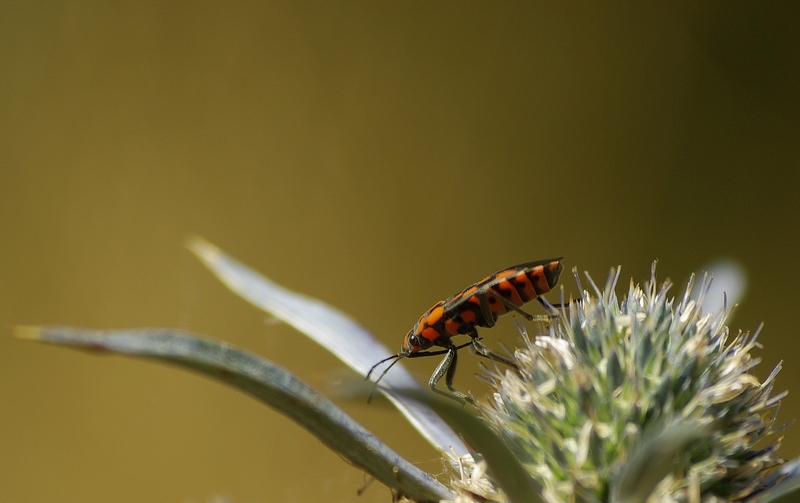 Una fotina senza troppe pretese