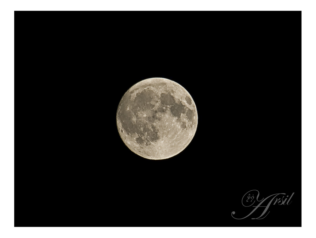 Luna... nothing special