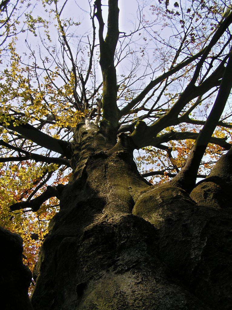 la giusta prospettiva